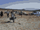 1.784 K Gif