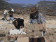 2.455 K Gif