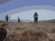 1.436 K Gif