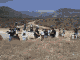 2.035 K Gif